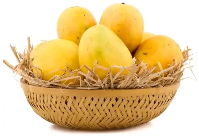 Mango – Export Quality